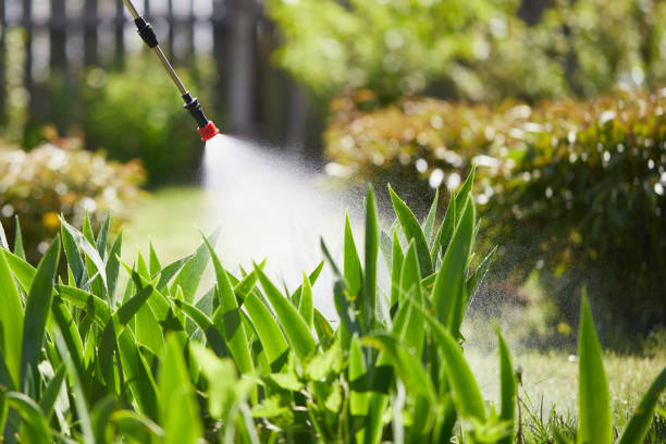 24/7 Emergency Fumigation Services experts in Russell Springs, KY