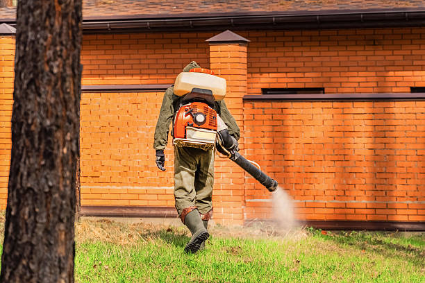 Trusted Rodent Control service in Russell Springs, KY - Nex Pest Control